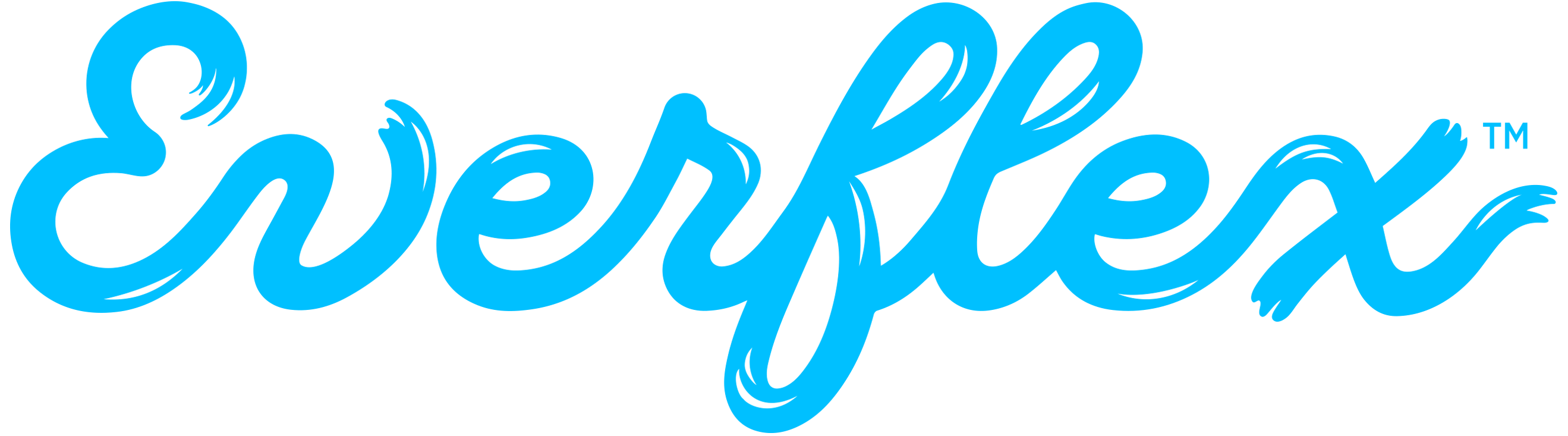 Everflex